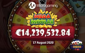 gnslots.com betway casino + microgaming